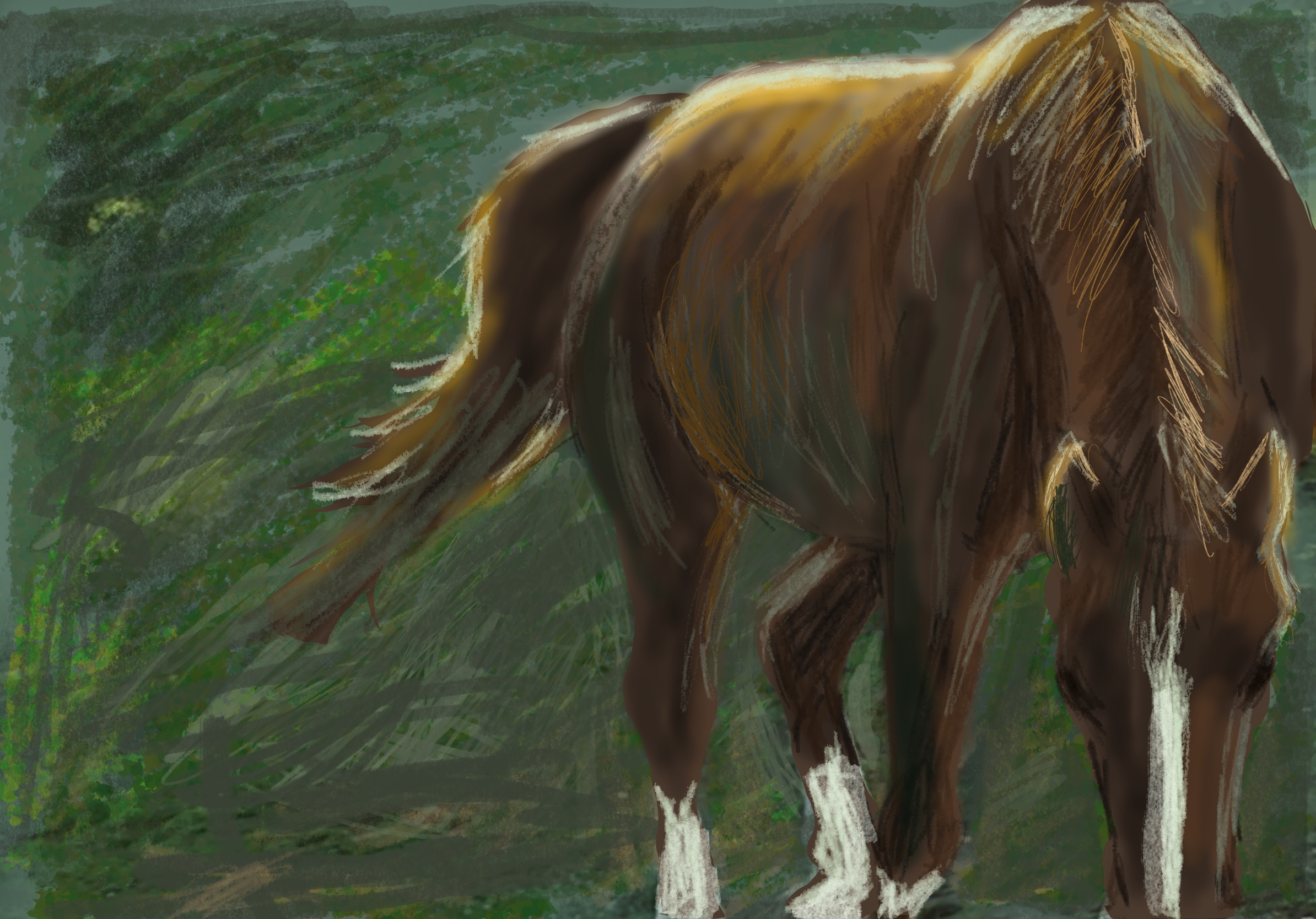 This is an iPad sketch of my horse Tiggy that I recently completed.