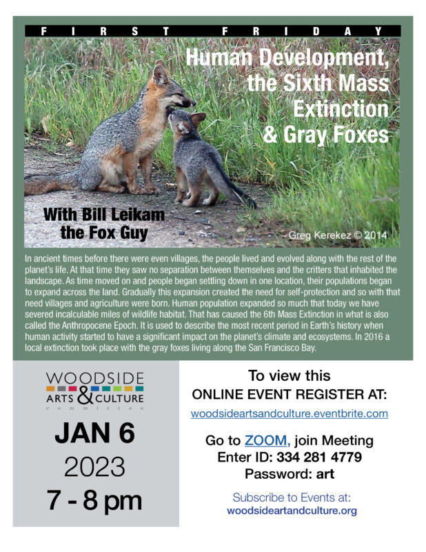 Human Development, the Sixth Mass Extinction & Gray Foxes
