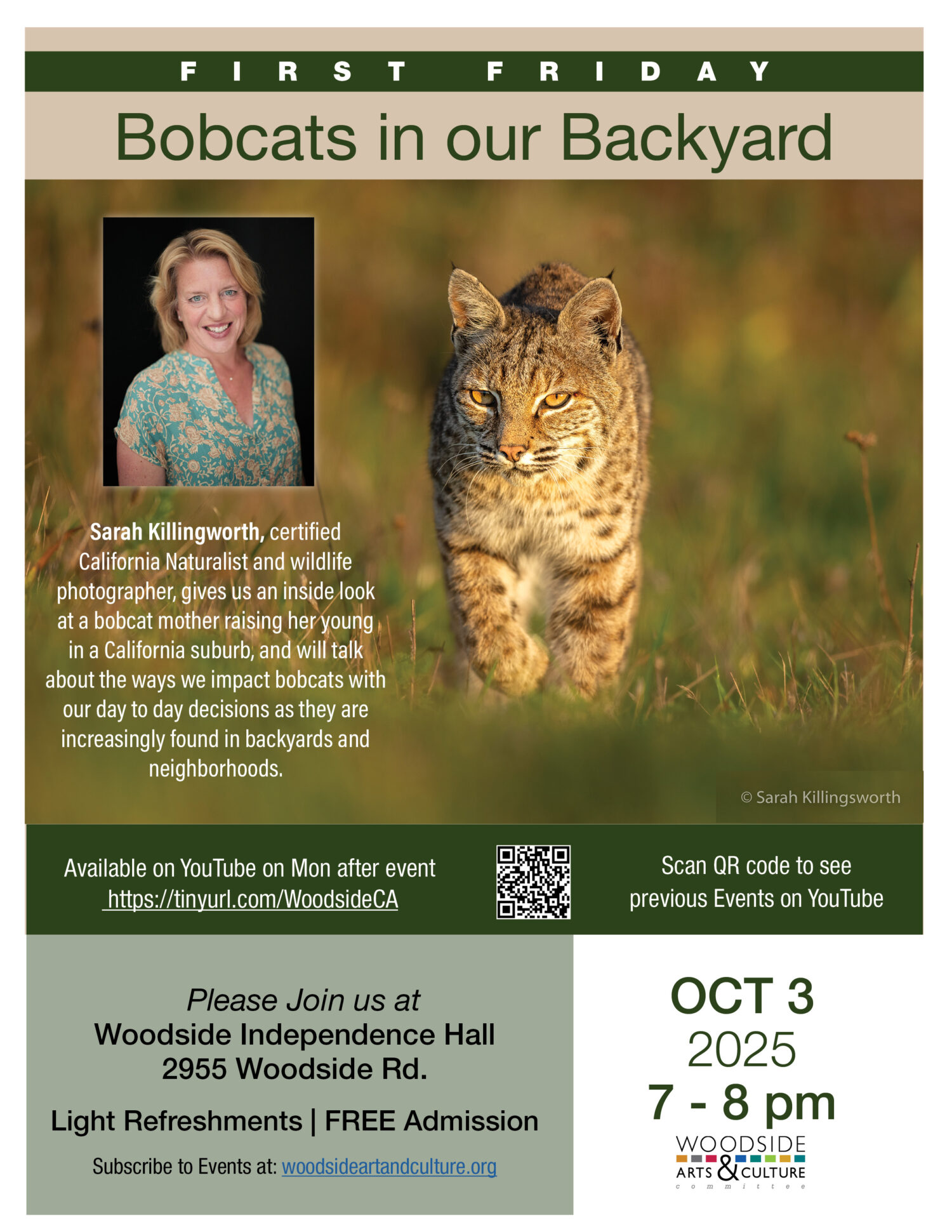 Bobcats in our Backyard