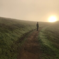 iphone photo - brisk morning walk
