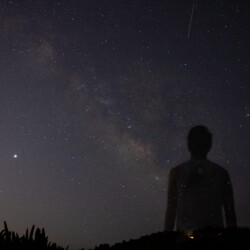 Alex Lee - Ephemeral