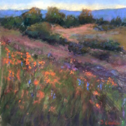 This painting was inspired by my first outing during the Shelter in Place period. The colors on Russian Ridge/Skyline were vibrant and the wildflowers, particularly the poppies, were in full bloom. I felt such gratitude to be in nature again.