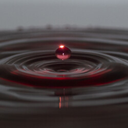 Alex Lee - Splash