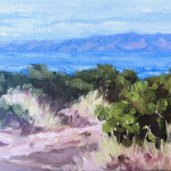 Russian Ridge Trail by Bev Iverson